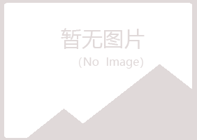 南山区迷失会计有限公司